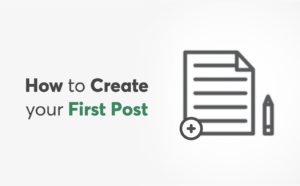 How To Create Your First Post
